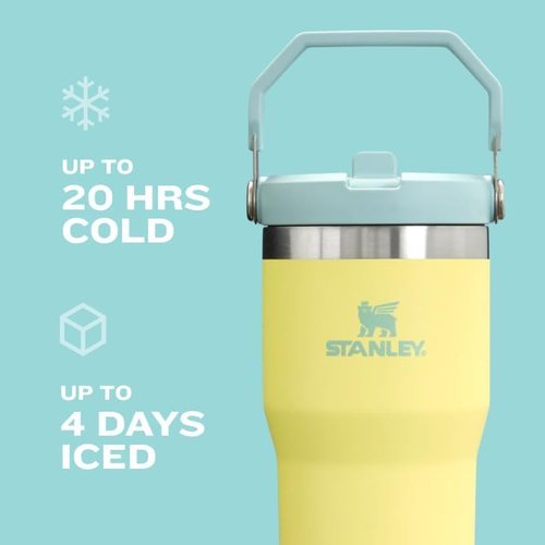 STANLEY IceFlow 2.0 Flip Straw Tumbler with Handle 30 oz | Twist On Lid and Flip Up Straw | Leak Resistant Water Bottle | Insulated Stainless Steel | BPA-Free | Exclusive Toasted Almond