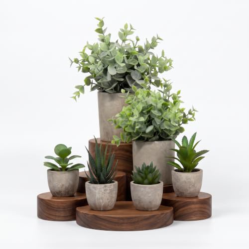 6 Pack Artificial Succulents and Eucalyptus Plants with Cement Pots for Indoor Decor