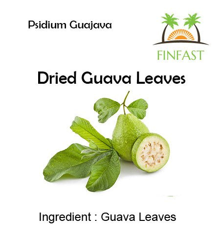 FINFAST Dried Guava Leaves (Psidium Guajava) (3 Oz, 100+ Leaves)