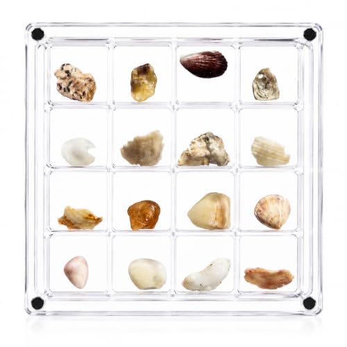 16 Grids Acrylic Display Box Clear Magnetic Shadow Box 11.8x11.8cm - Variation 16