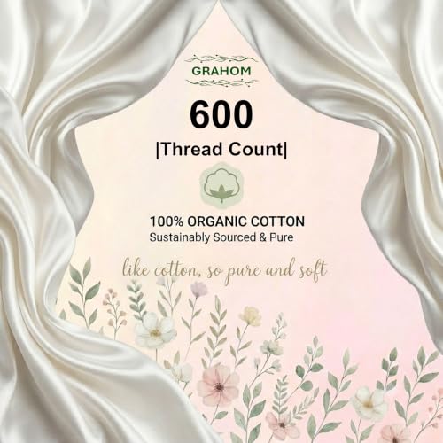 Organic Cotton Queen Bed Sheet Set Sky Blue 600 TC 4-Piece with Deep Pockets