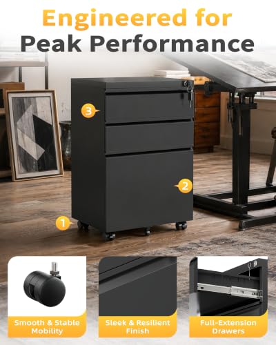 Omelaza Fully Assembled 3-Drawer Mobile File Cabinet Lockable Black