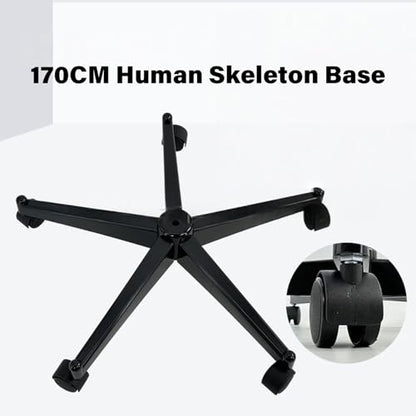 Heavy Duty Human Skeleton Model Base with 5-Wheel Christmas Tree Stand, 20.87 Inch