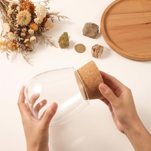 Large Cork Stoppers Set - Wooden Bottle Seals for Wine, Oil, Vinegar