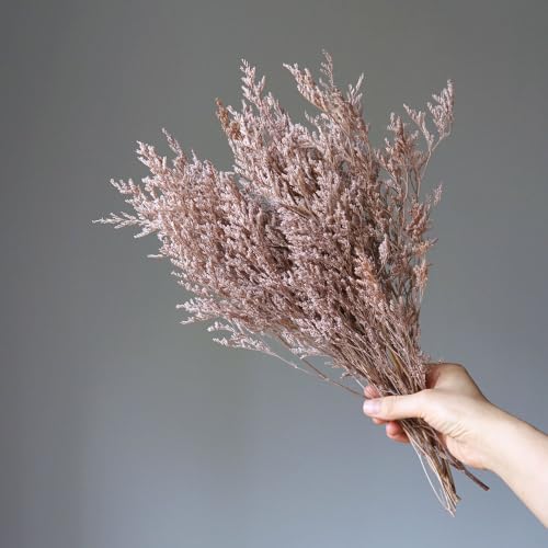 Preserved Sea Lavender Flower Bouquet - Light Brown, Artificial Dried Flower Arrangement