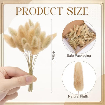 Natural Bunny Tails Dried Flowers Bulk 4 Inch for Boho Decor & Crafts