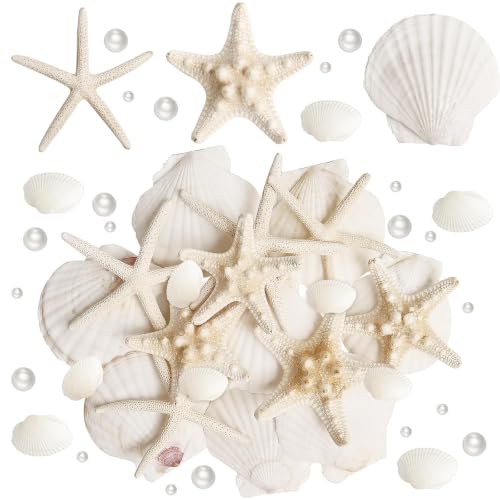 Seashells and Starfish Craft Supplies Set - 16 Pieces with Pearls and Clams