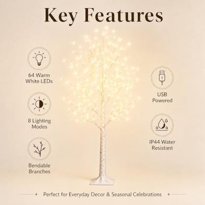 4ft Birch Tree with Lights - 64 LEDs, USB, 8 Lighting Modes, IP44