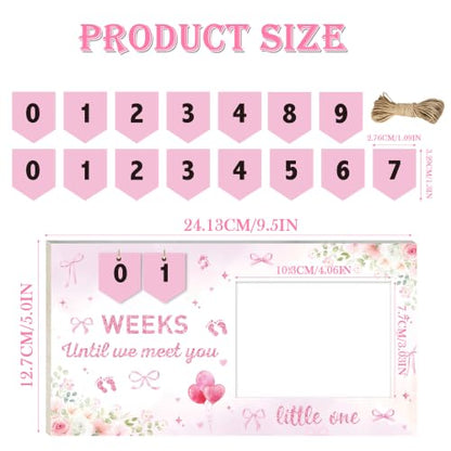 Pregnancy Ultrasound Picture Frame with Pink Bow & Countdown - Keepsake