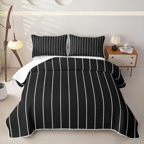 Queen Black & White Geometric Quilt Set - Modern Farmhouse Bedspread with Lines