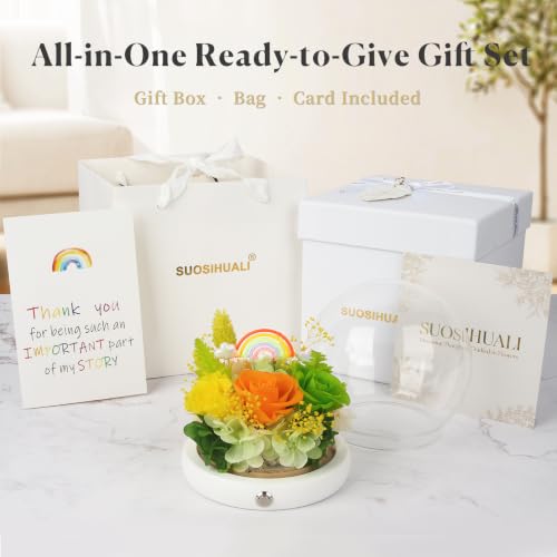 Rainbow Preserved Roses in Glass Dome with LED Nightlight - Aesthetic Gift for Her