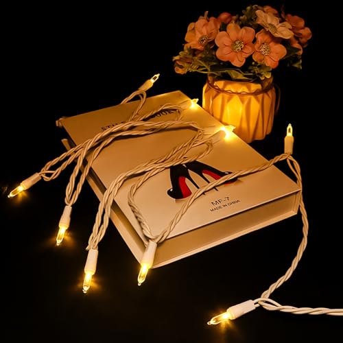 Warm White LED Christmas String Lights 9.6ft Flicker-Free Indoor Outdoor