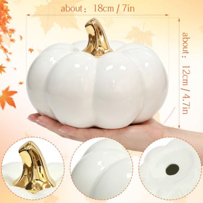 7-Inch White Ceramic Artificial Pumpkin Decor - Fake Halloween Fall Pumpkin, Variation of THIS listing: White a