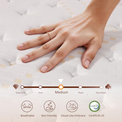 Twin Hybrid Mattress 10 Inch in a Box - Medium Firm, Luxury Support