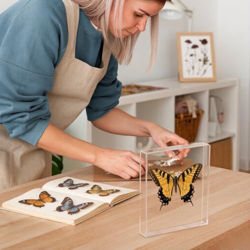 Acrylic Wall Mounted Shadow Box Display Case for Keepsakes 11x14in