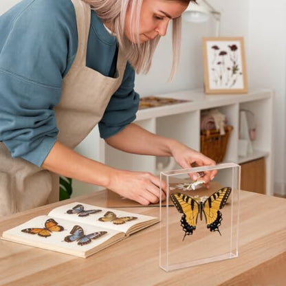 Acrylic Wall Mounted Shadow Box Display Case for Keepsakes 11x14in