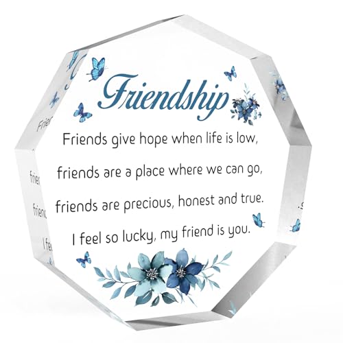Friendship Acrylic Sign Plaque - Best Friend Gift for Women Men Christmas Birthday