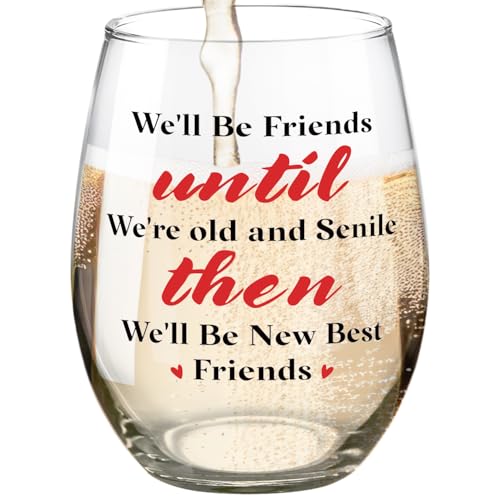 Funny Best Friends Wine Glass Gifts - We'll Be New Best Friends 15 OZ Stemless Glass for Women BFF Sister
