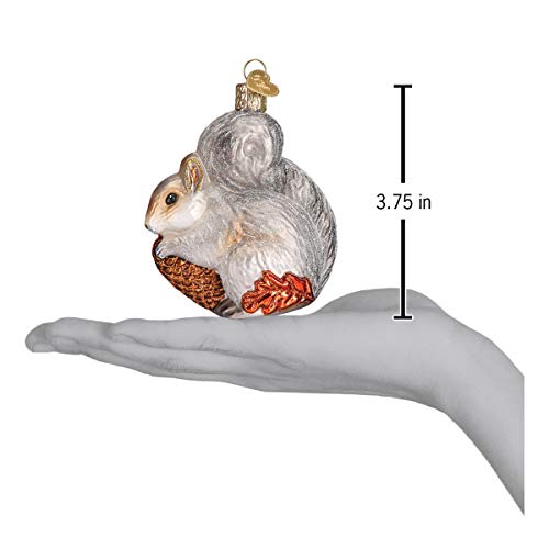 Old World Christmas Glass Squirrel Ornament for Christmas Tree - Handcrafted Holiday Decor - Wildlife Collection