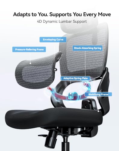 SIHOO B100 SE Ergonomic Office Chair Soft Black with Lumbar Support