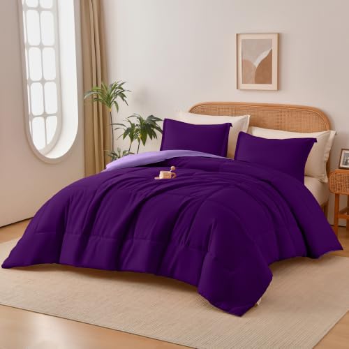 Queen Size Reversible Comforter Set 3 Pieces - Deep/Light Purple, 90x90 Inches, Ultra Soft All-Season Bedding