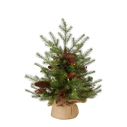 2ft Pre-Lit Nordic Spruce Mini Christmas Tree - Feel Real Artificial Holiday Tree