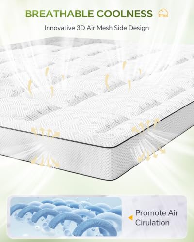 White Queen Mattress Topper Pillow Top 3 Inch Thick Shredded Memory Foam