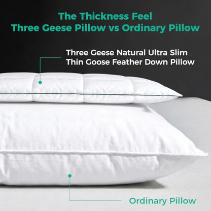 White 2.5 Inch Flat Goose Down Feather Pillow - Standard Size, Hotel Collection