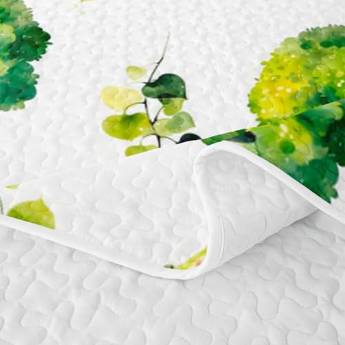 Homewish Broccoli Vegetable Quilt Set Queen Size for Girls Boys Teens - Green Vegetables 01