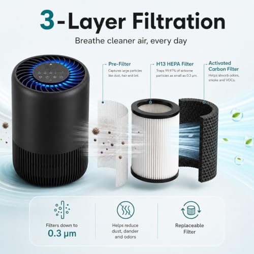Black 2-Pack Home Air Purifiers for Large Rooms, Pet Odors, Smoke, Pollen