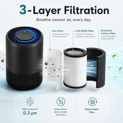 Black 2-Pack Home Air Purifiers for Large Rooms, Pet Odors, Smoke, Pollen
