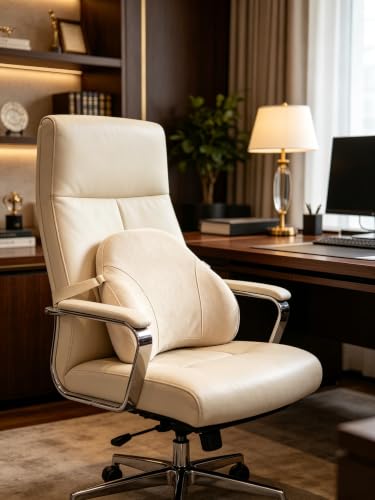 Ergonomic Lumbar Support Pillow for Car Office Home Beige - Lower Back Relief