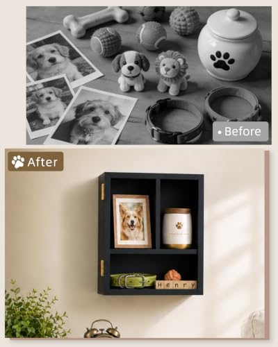 Black 11x9 Inch Pet Memorial Shadow Box with Shelves & Pin-Back Board