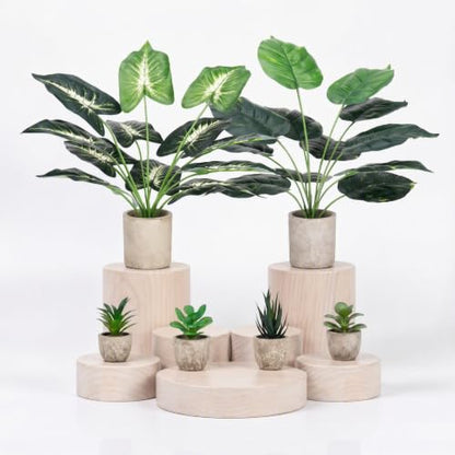 Artificial Plant Set with Concrete-Style Pots - 2 Large Tropical & 4 Mini Succulents