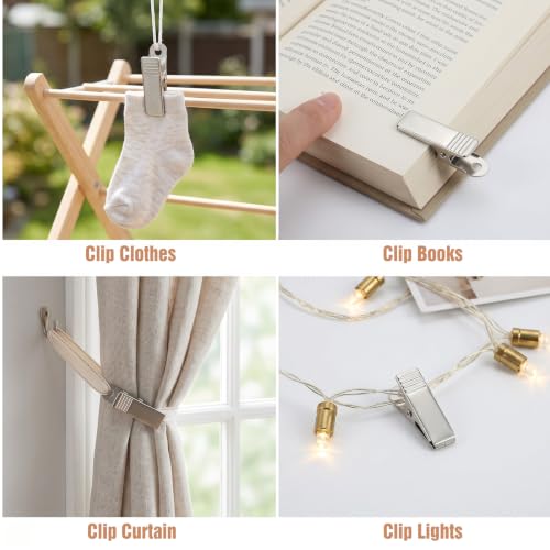 40 Pcs Metal Alligator Clips for Crafts Photo Hanging Wire Organizer