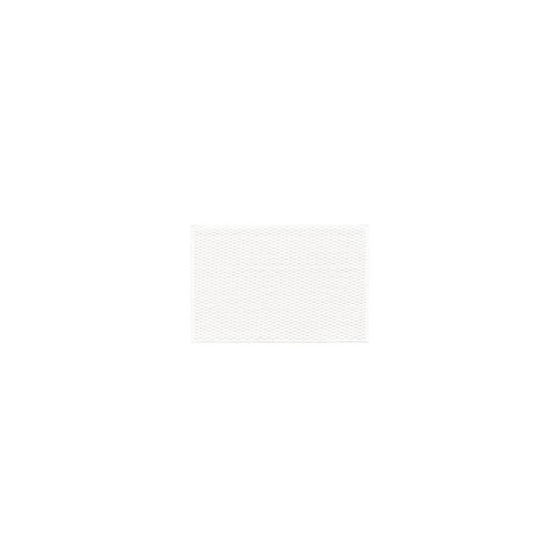 TYUU Bathroom Rugs Non Slip Washable, Super Absorbent Thin Bath Mat Small Quick Dry Low Pile Bathroom Rug, White 16"x24" / 1'4" x 2'