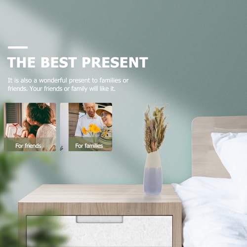 Dried Pampas Grass Decor Bundle for Living Room & Events