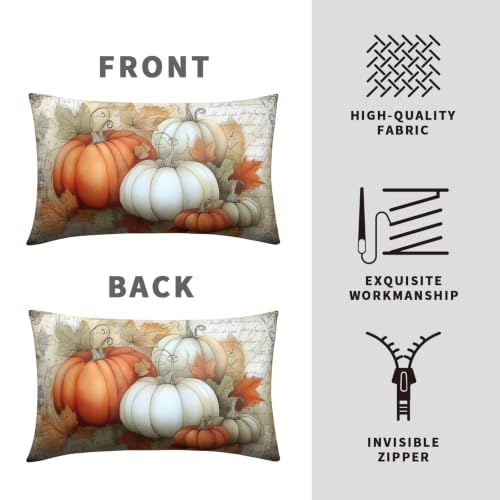 Fall Outdoor Lumbar Pillow Covers 12x20 Set of 2 Orange White Pumpkin Maple Leaves Vintage Autumn Thanksgiving Cushion Case