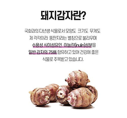 K-Mystery Jaaein Jeru m Artichoke Tea (50 Teabag), 자애인 돼지감자차 50티백 from South Korea