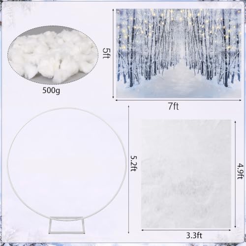 Lighted Christmas Snow Globe Photo Booth Kit with Metal Arch and Backdrop