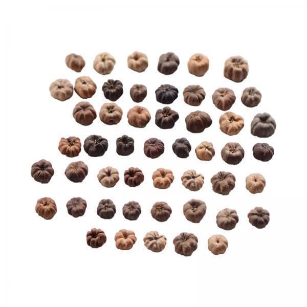 Mini Dried Pumpkin Decor for Floral Wreaths and Crafts, 50 Pack