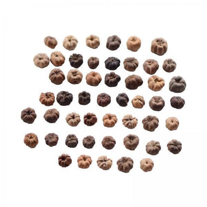 Mini Dried Pumpkin Decor for Floral Wreaths and Crafts, 50 Pack