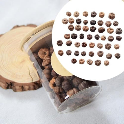 Mini Dried Pumpkin Decor for Floral Wreaths and Crafts, 50 Pack