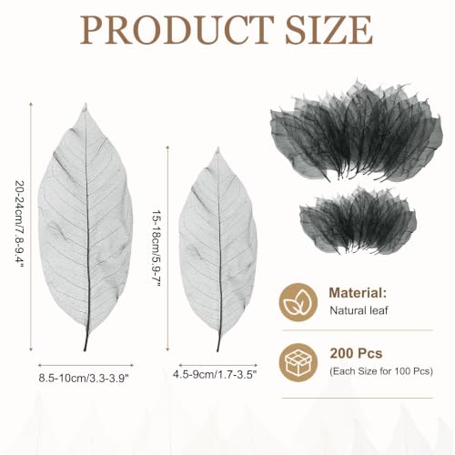Skeleton Rubber Tree Leaves Set - Black, 200 Pieces, 7.9-9.4 & 5.9-7.1 Inches
