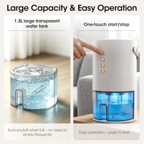 Small Portable Dehumidifier 1300ml Quiet Auto Shut Off for Bedroom & Home