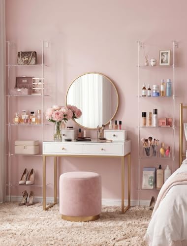 5 Tier Clear Acrylic Wall Ladder Shelf for Storage & Organizer