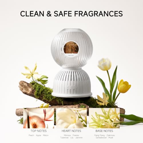 Waterless Diffuser 350ml Sphere Design - Luxury Hotel Scent - No Reeds