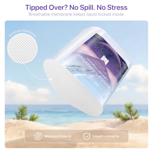 Lavender Scent Moisture Absorber Buckets 6 Pack, 14 oz Each, Humidity Control