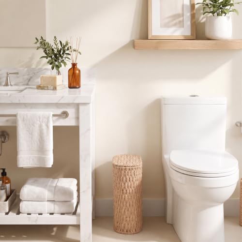 Endymion 3 Gallon Wicker Trash Can with Lid - Natural Paper Rope Bathroom Waste Bin