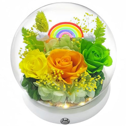 Rainbow Preserved Roses in Glass Dome with LED Nightlight - Aesthetic Gift for Her